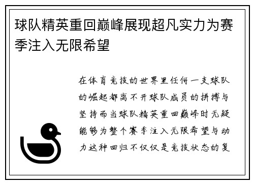 球队精英重回巅峰展现超凡实力为赛季注入无限希望